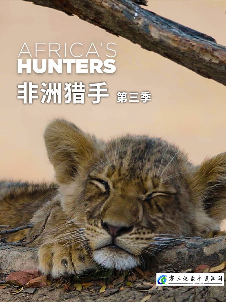 自然纪录片《非洲猎手 第2-3季全12集   Africa's Hunters》下载-零三纪录片资源网