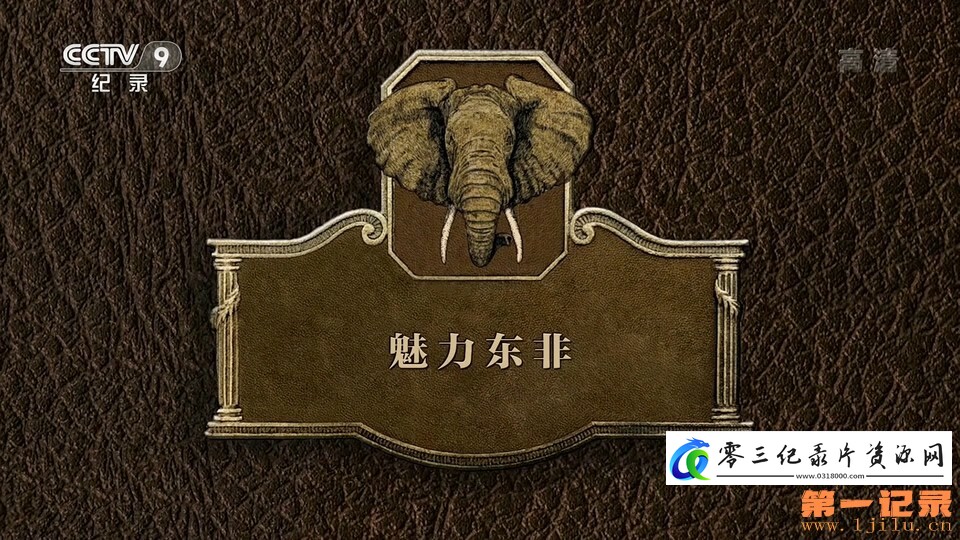 魅力东非的海报