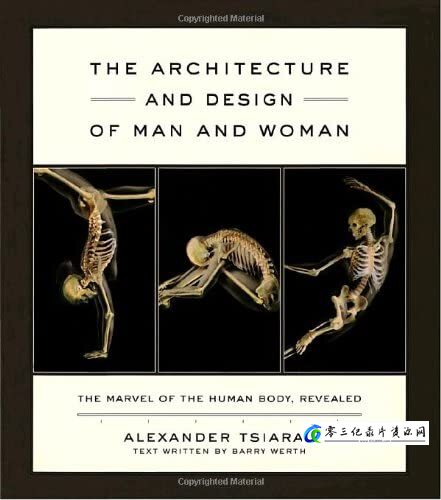 探索纪录片《男女构造的差异 Architecture and Design of Man and Woman》下载-零三纪录片资源网