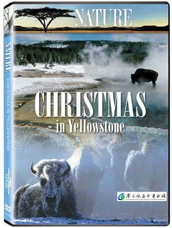 自然纪录片《黄石的圣诞 PBS Nature Christmas in Yellowstone》下载-零三纪录片资源网