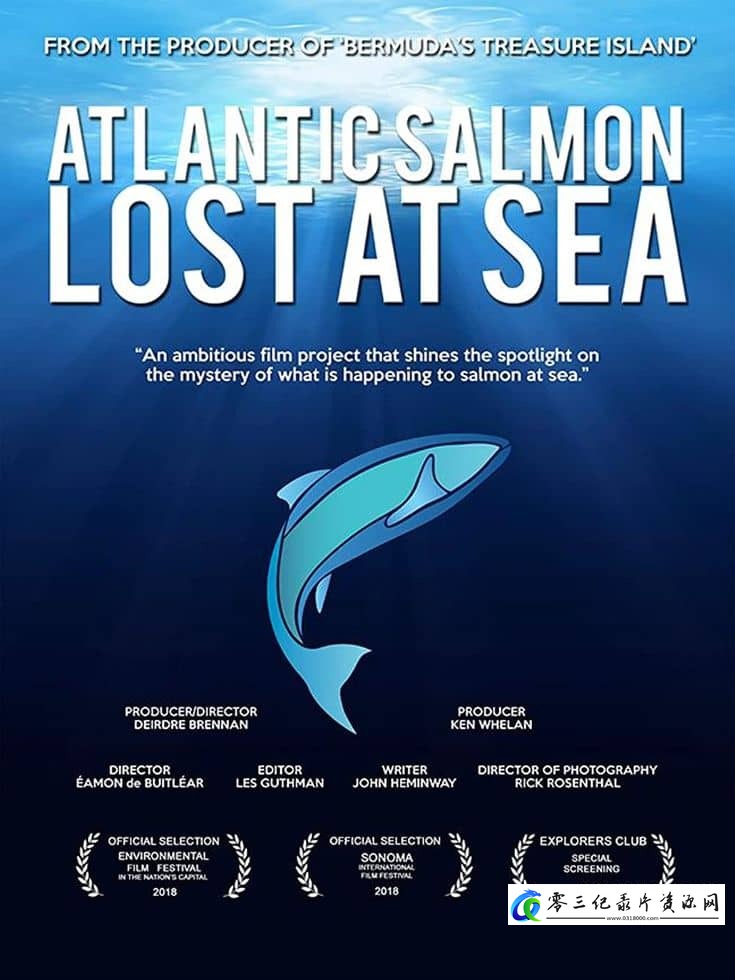 自然纪录片《大西洋鲑鱼：迷失在海上 Atlantic Salmon: Lost at Sea》下载-零三纪录片资源网