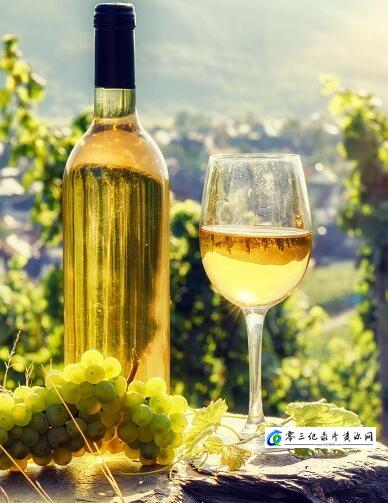 美食纪录片《葡萄酒之旅：香槟&阿尔萨斯 Wineroads: Champagne & Alsace》下载-零三纪录片资源网