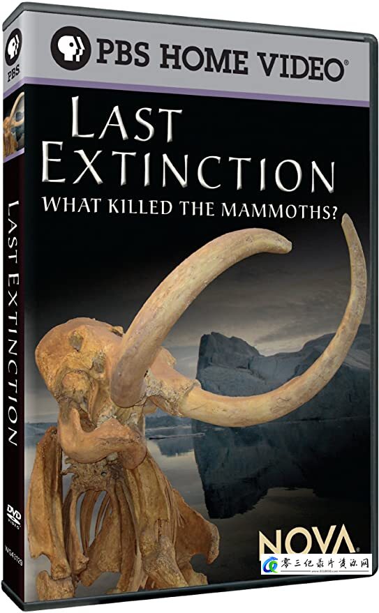 PBS 猛犸大灭绝的海报
