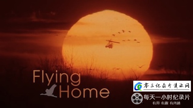 驭风而归的海报