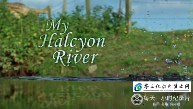 自然纪录片《我的翠鸟河 My Halcyon River》下载-零三纪录片资源网