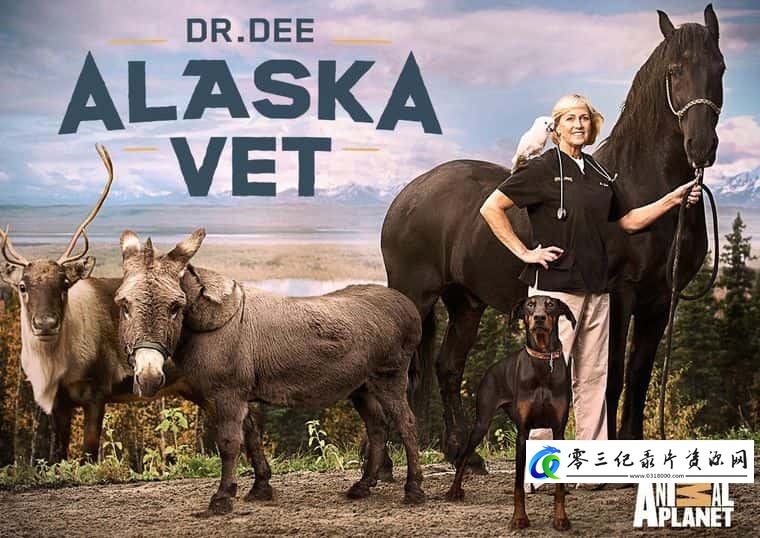 社会生活纪录片《Dee博士：阿拉斯加兽医 第1-2季全18集 Dr. Dee: Alaska Vet》下载-零三纪录片资源网