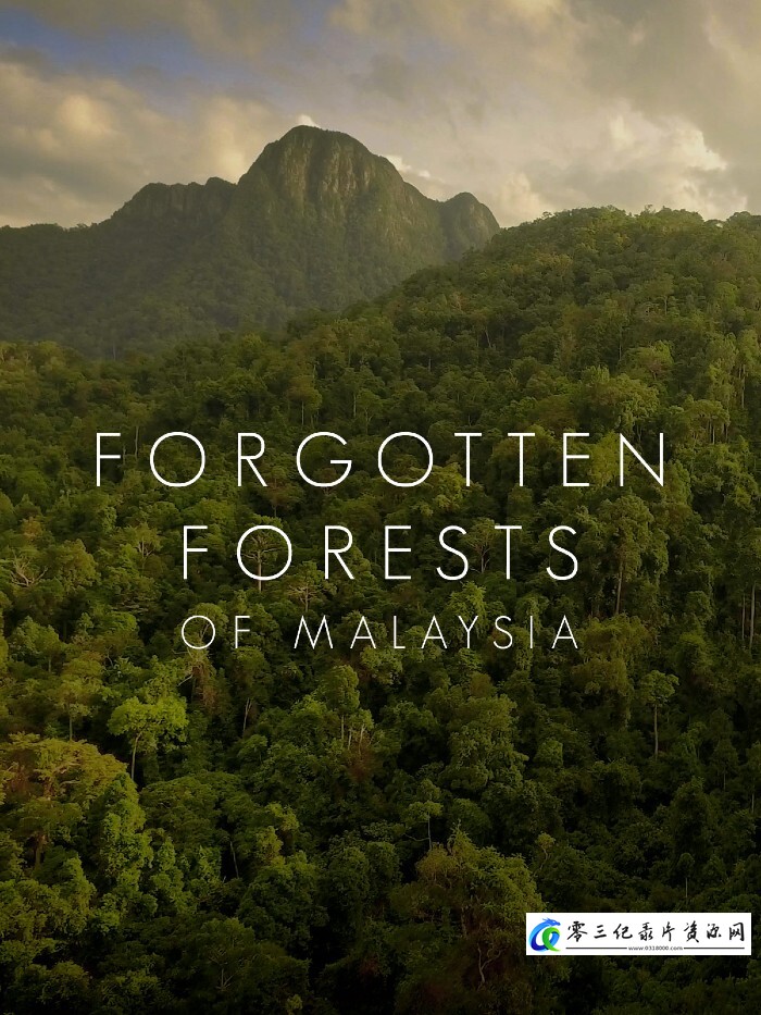 自然纪录片《马来西亚被遗忘的雨林 Forgotten Forests of Malaysia》下载-零三纪录片资源网