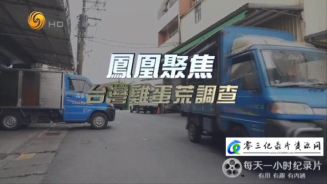 社会生活纪录片《台湾鸡蛋荒调查》下载-零三纪录片资源网