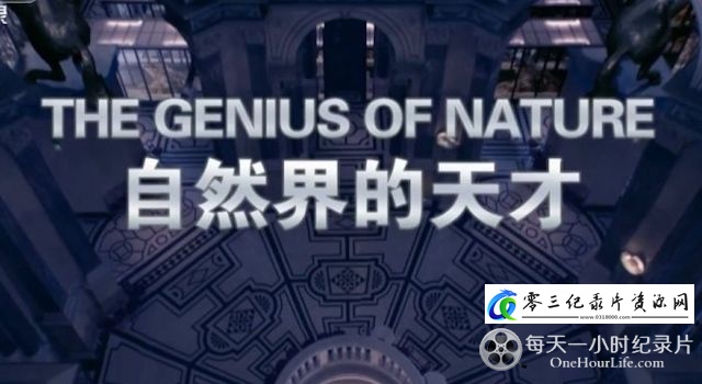 自然纪录片《自然界的天才 The Genius Of Nature》下载-零三纪录片资源网