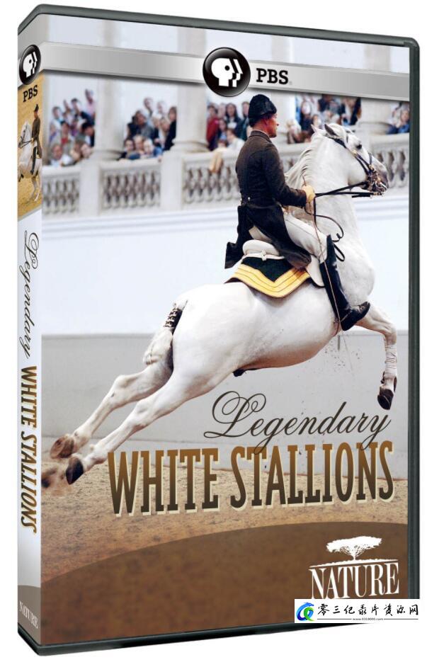 白雪名驹 PBS:Nature: Legendary White Stallions的海报