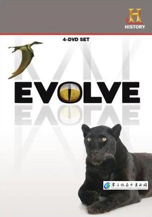 科学纪录片《进化 Evolve》下载-零三纪录片资源网