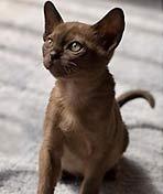 探索纪录片《水上屋》下载-零三纪录片资源网