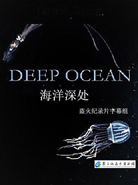自然纪录片《海洋深处 Deep Ocean》下载-零三纪录片资源网