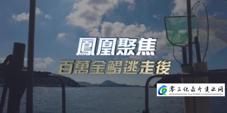 探索纪录片《百万金鲳逃走后》下载-零三纪录片资源网