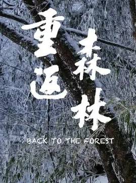 自然纪录片《重返森林 Back to the Forest》下载-零三纪录片资源网