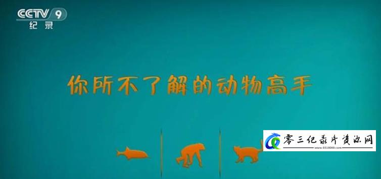 自然纪录片《你所不了解的动物高手》下载-零三纪录片资源网