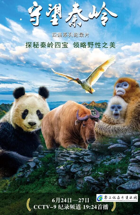 人文地理纪录片《守望秦岭》下载-零三纪录片资源网