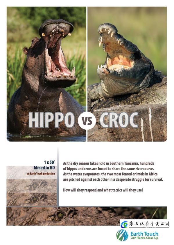自然纪录片《河马与尼罗鳄的领地之争 Hippo vs Croc》下载-零三纪录片资源网
