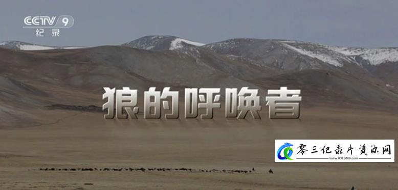 人文地理纪录片《狼的呼唤者》下载-零三纪录片资源网