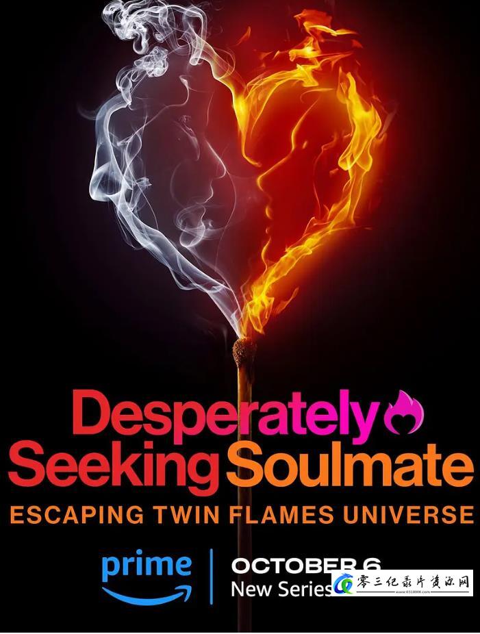 社会生活纪录片《寻找灵魂伴侣：逃离双生火焰宇宙 Desperately Seeking Soulmate: Escaping Twin Flames Universe》下载-零三纪录片资源网
