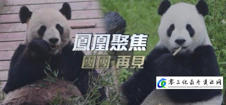 社会生活纪录片《团团再见》下载-零三纪录片资源网