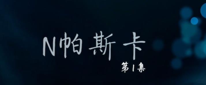 工艺技术纪录片《N帕斯卡》下载-零三纪录片资源网