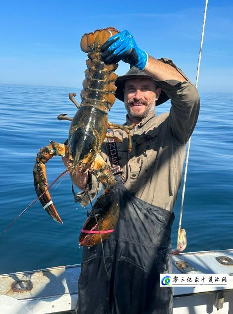 龙虾捕手 Lobstermen的海报