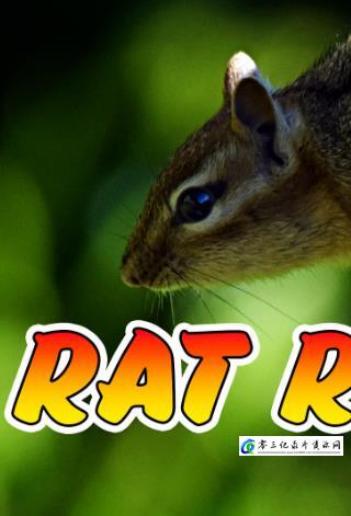 激烈的竞争 Rat Race的海报