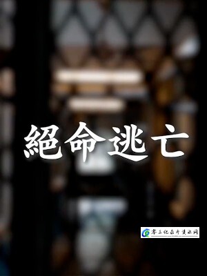 绝命逃亡·缅甸电诈园区的海报