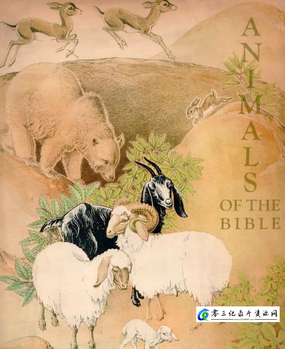 自然纪录片《圣经中的动物 Animals Of The Bible》下载-零三纪录片资源网