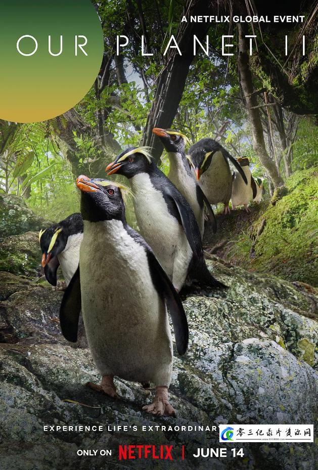 自然纪录片《我们的星球 第二季 Our Planet Season 2》下载-零三纪录片资源网