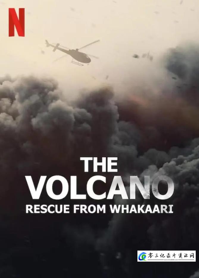 社会生活纪录片《火山：法卡里营救 The Volcano: Rescue from Whakaari》下载-零三纪录片资源网