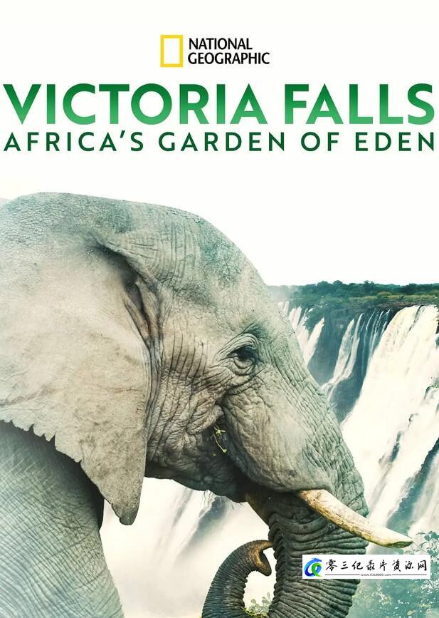 维多利亚瀑布:非洲的伊甸园 Victoria Falls: Africa's Garden of Eden的海报