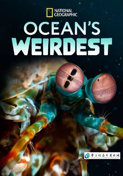 海洋异物志 Ocean's Weirdest的海报