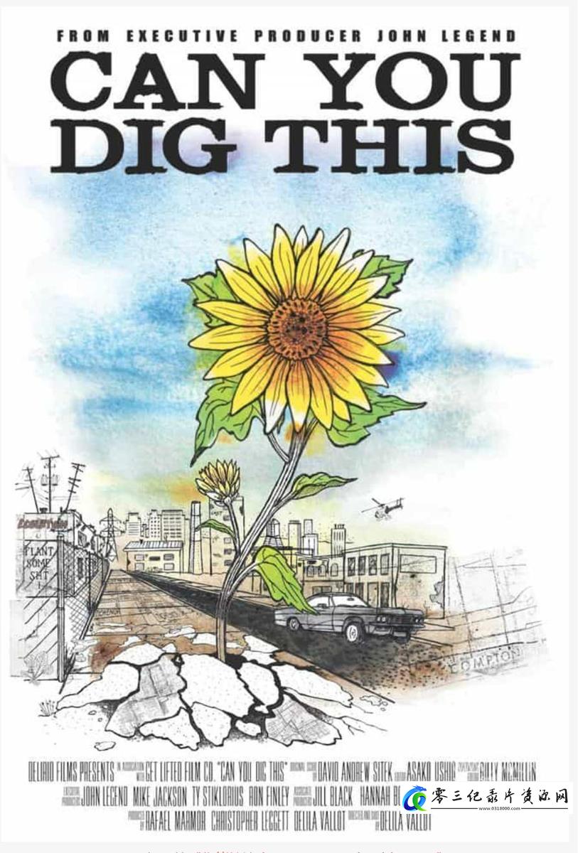 你能挖这个吗 Can You Dig This的海报