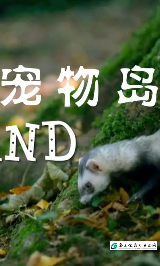 自然纪录片《宠物岛 Pet Island》下载-零三纪录片资源网