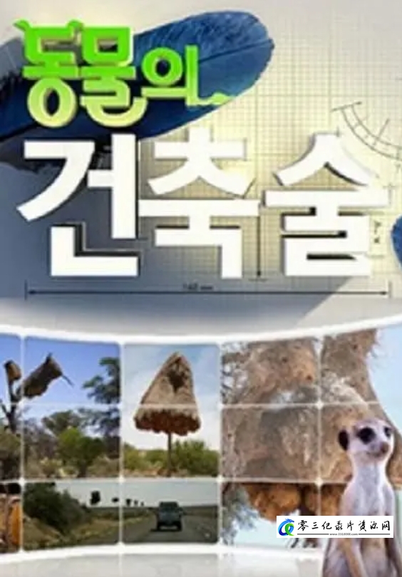 自然纪录片《动物建筑师 Animal Builders》下载-零三纪录片资源网