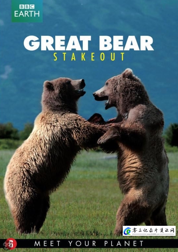 自然纪录片《熊族面面观 Meet the Bears》下载-零三纪录片资源网