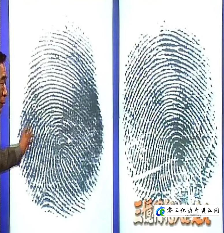 事件纪录片《追踪三亿日元劫犯-指纹鉴识人员执着的调查 三僟円犯人を追え ～鑑識課指紋係•執念の大捜査～》下载-零三纪录片资源网