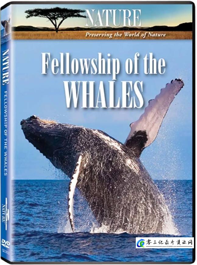 自然纪录片《鲸之友谊 Fellowship of the Whales》下载-零三纪录片资源网