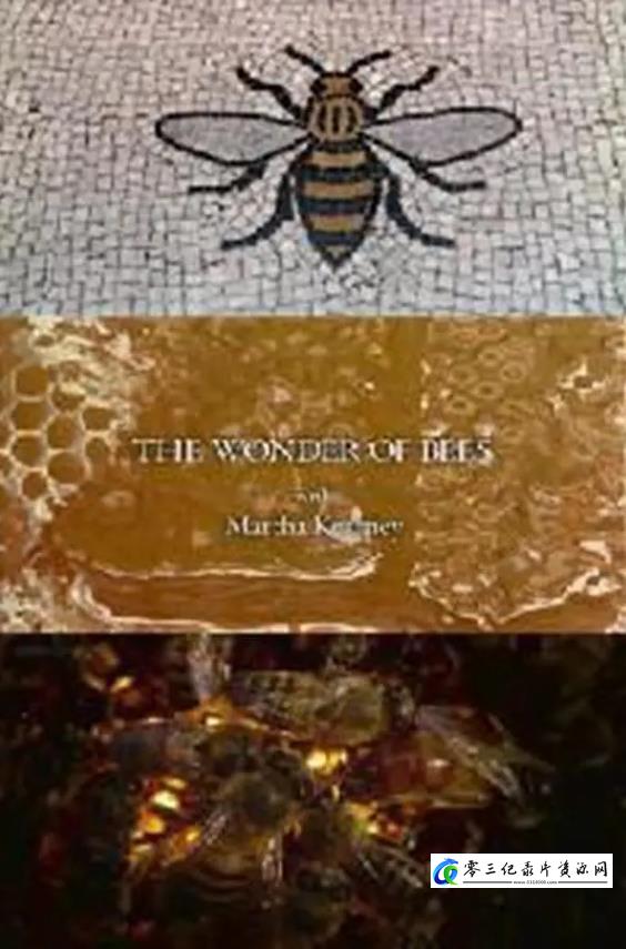 自然纪录片《玛莎·卡妮领略神奇的蜜蜂 The Wonder of Bees with Martha Kearney》下载-零三纪录片资源网