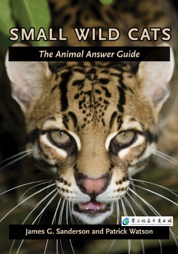 自然纪录片《野生猫科动物 Wild Cats》下载-零三纪录片资源网