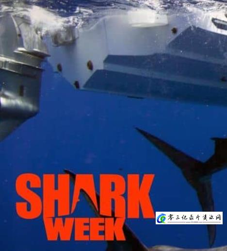 自然纪录片《巨型灰鲭鲨黎明 Dawn of the Monster Mako》下载-零三纪录片资源网