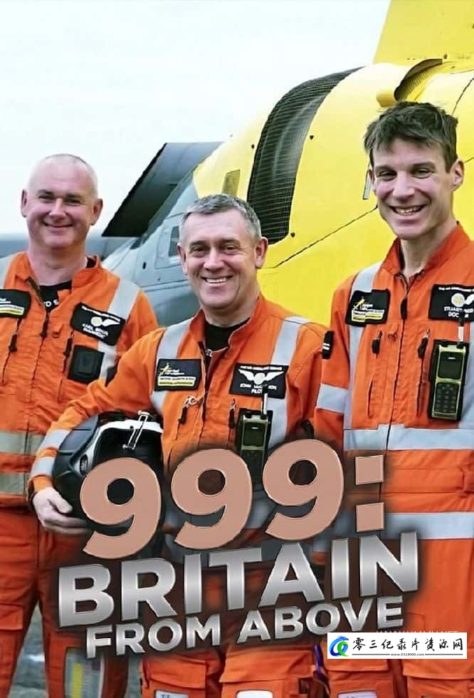 999:俯瞰英国 999: Britain from Above的海报