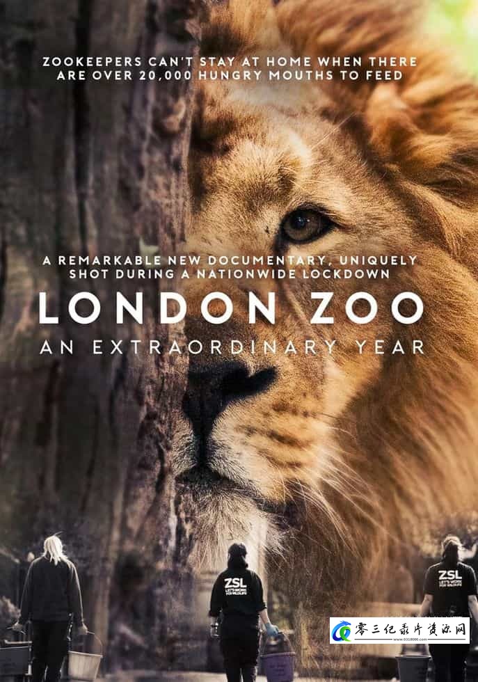 自然纪录片《伦敦动物园：非凡的一年 London Zoo: An Extraordinary Year》下载-零三纪录片资源网