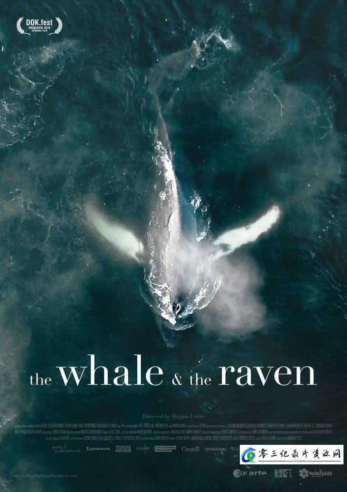 自然纪录片《鲸鱼和乌鸦 The Whale and the Raven》下载-零三纪录片资源网
