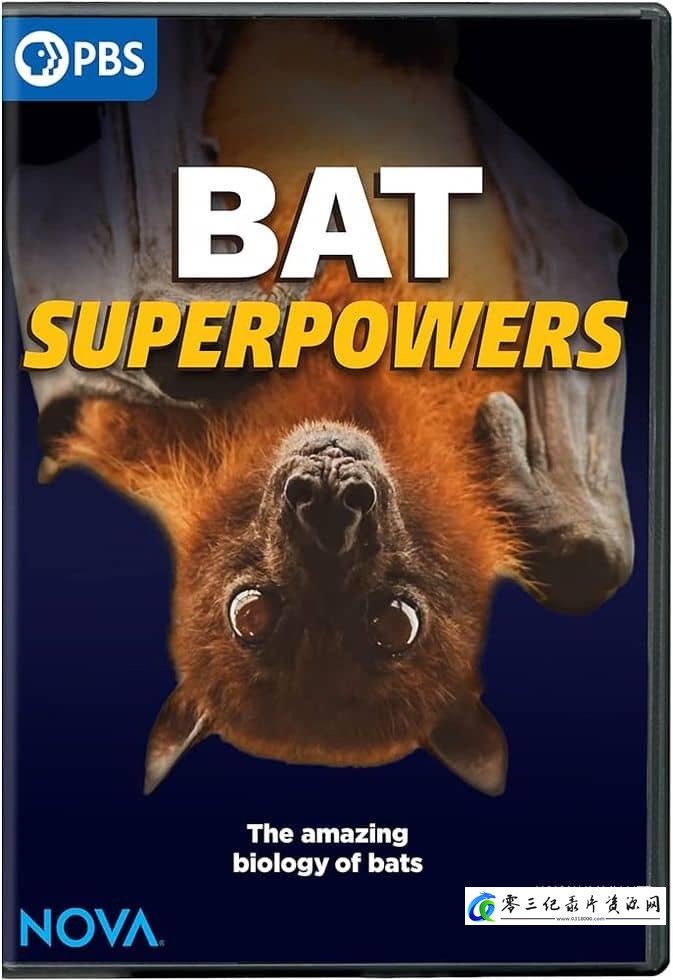 蝙蝠超能力 Bat Superpowers的海报