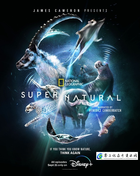 自然纪录片《超/自然 Super/Natural》下载-零三纪录片资源网