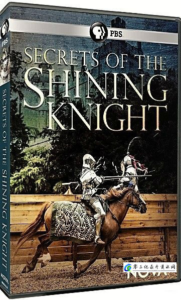 闪亮骑士的秘密 Secrets of the Shining Knight的海报