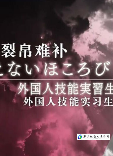 裂帛难补 ~外国人技能实习生和纺织之乡~ 裂帛难补的海报